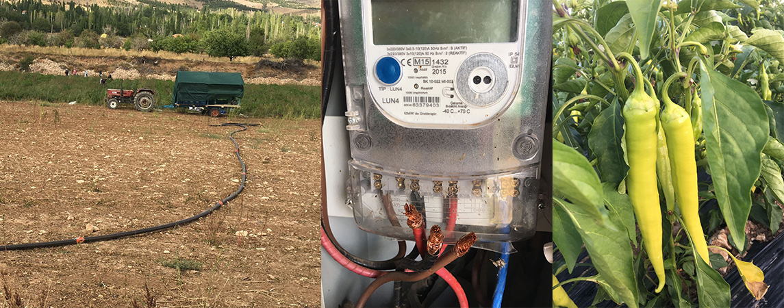 OSMANKALFALAR’DA BORÇ YÜZÜNDEN ELEKTRİĞİ KESİLEN ÇİFTÇİLER: “ÜRÜN TARLADA YANIYOR”